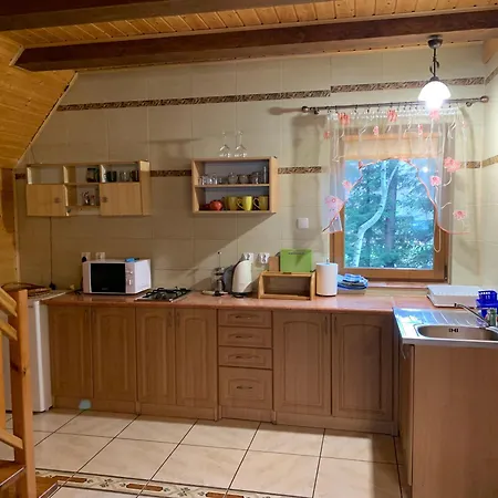 Domki Pod Kiczera W Baligrodzie, Bieszczady Exterior photo