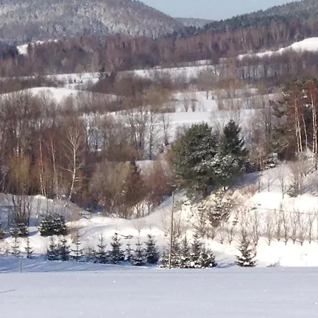 Domki Pod Kiczera W Baligrodzie, Bieszczady Exterior photo