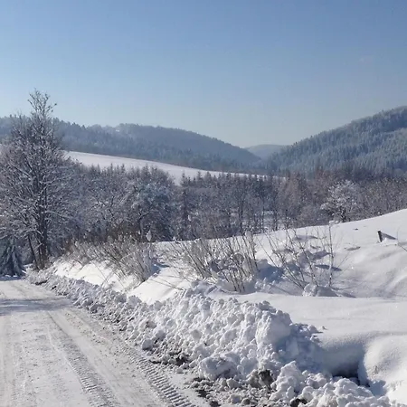 Domki Pod Kiczera W Baligrodzie, Bieszczady Exterior photo