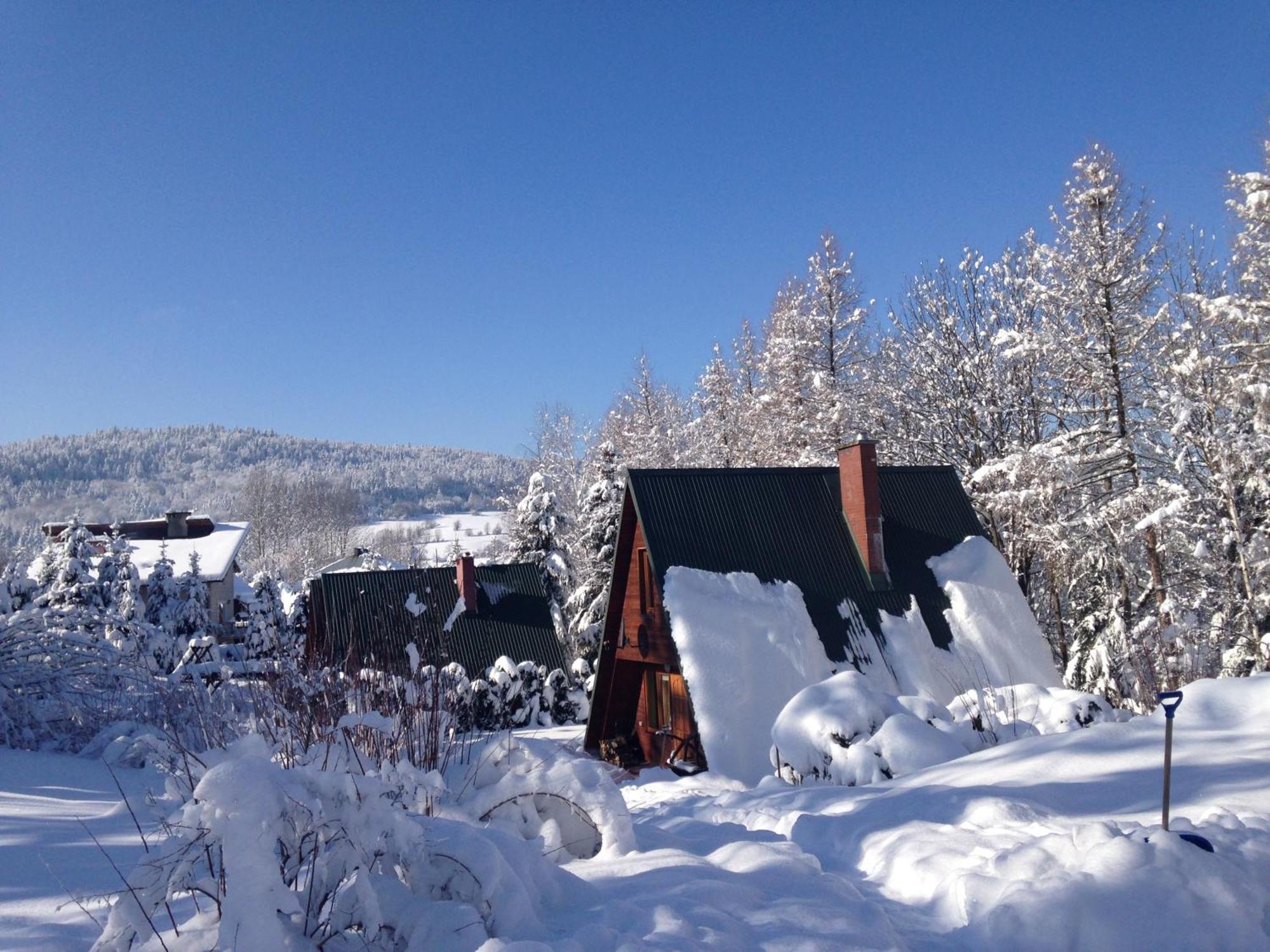 Pod Kiczera W Baligrodzie, Bieszczady Holiday home *