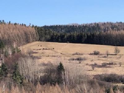 Holiday home Pod Kiczera W Baligrodzie, Bieszczady *